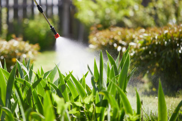 24/7 Emergency Termite Control experts in Monument, CO